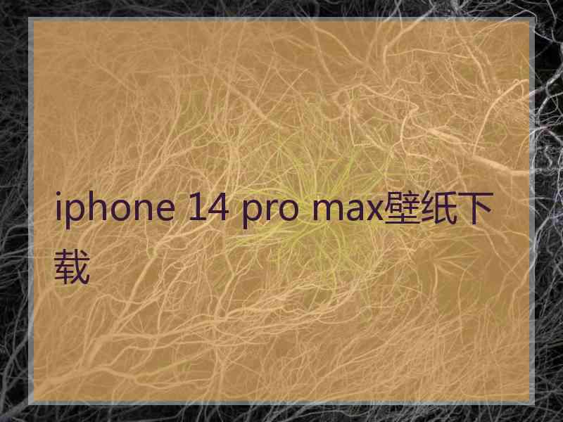 iphone 14 pro max壁纸下载