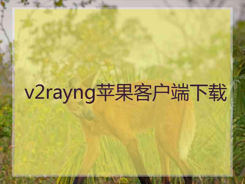 v2rayng苹果客户端下载