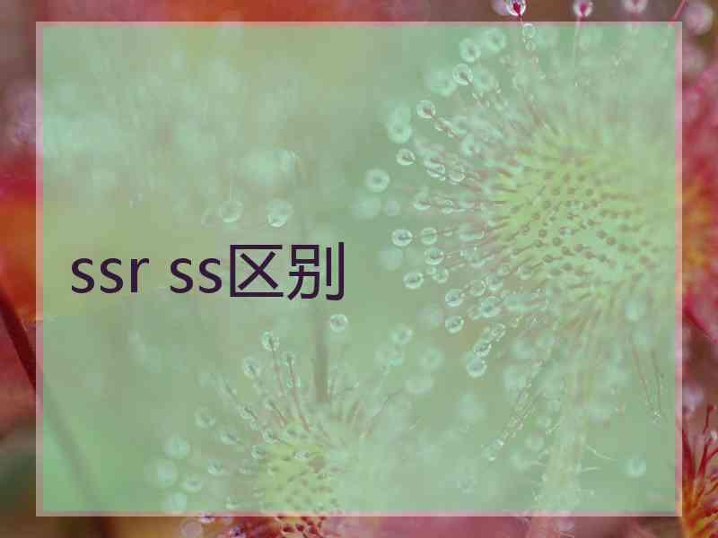 ssr ss区别