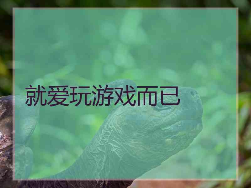 就爱玩游戏而已