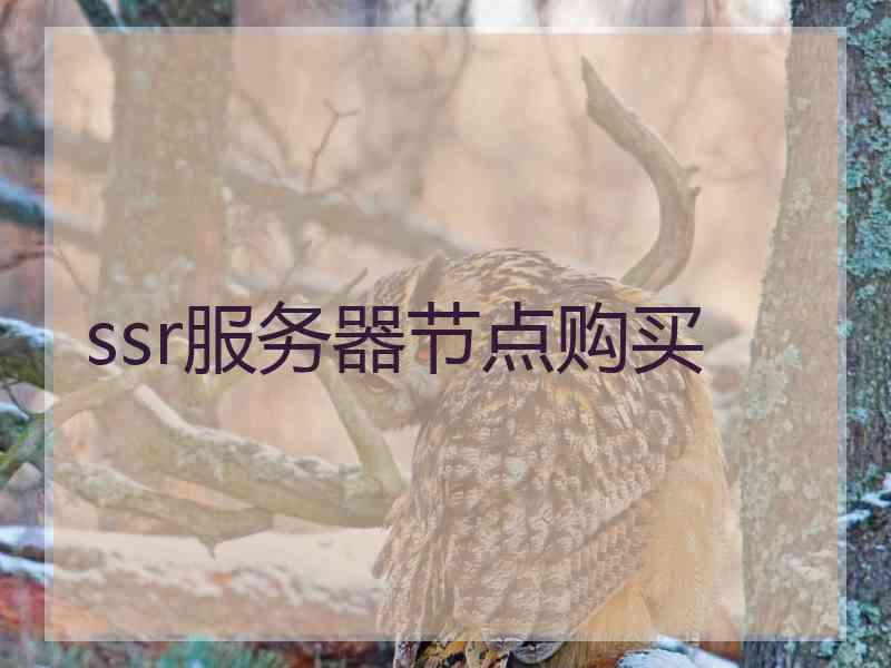 ssr服务器节点购买