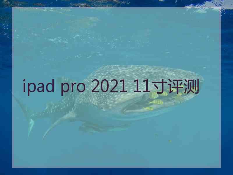 ipad pro 2021 11寸评测