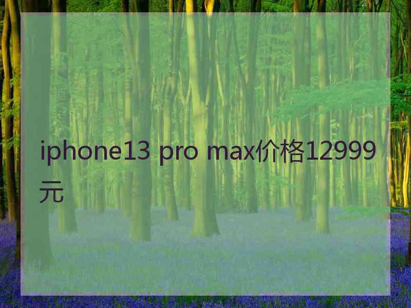 iphone13 pro max价格12999元