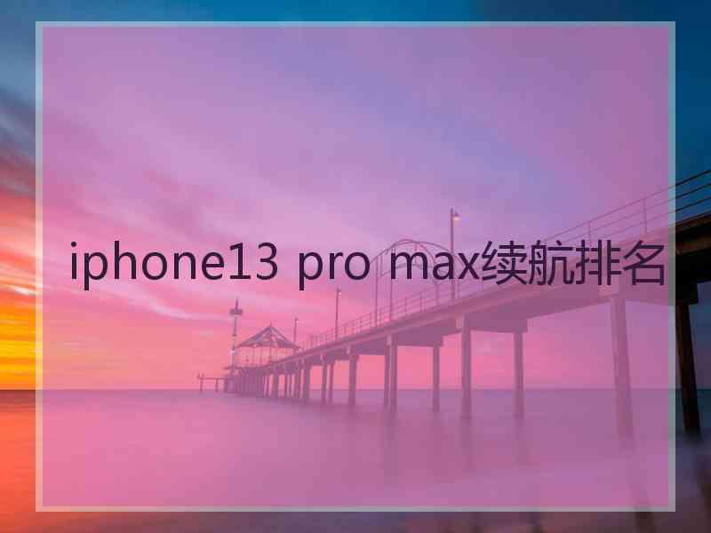 iphone13 pro max续航排名