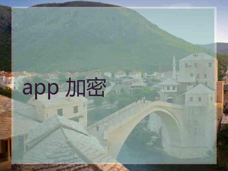 app 加密