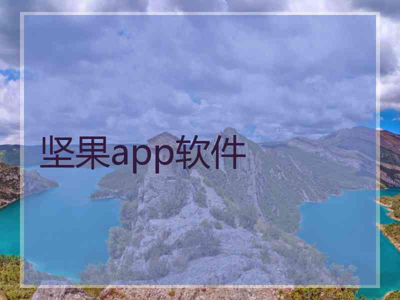 坚果app软件