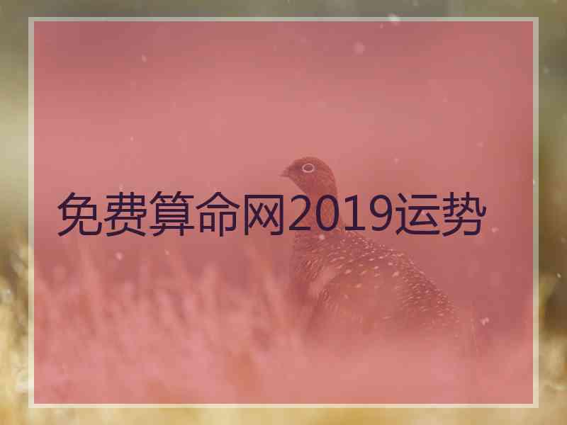 免费算命网2019运势