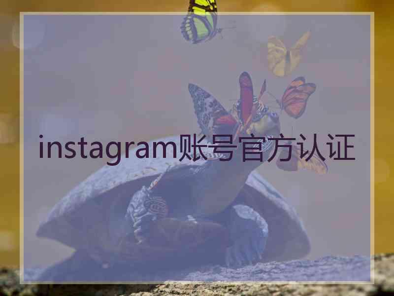 instagram账号官方认证