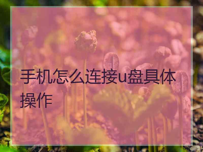 手机怎么连接u盘具体操作