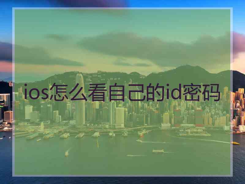 ios怎么看自己的id密码