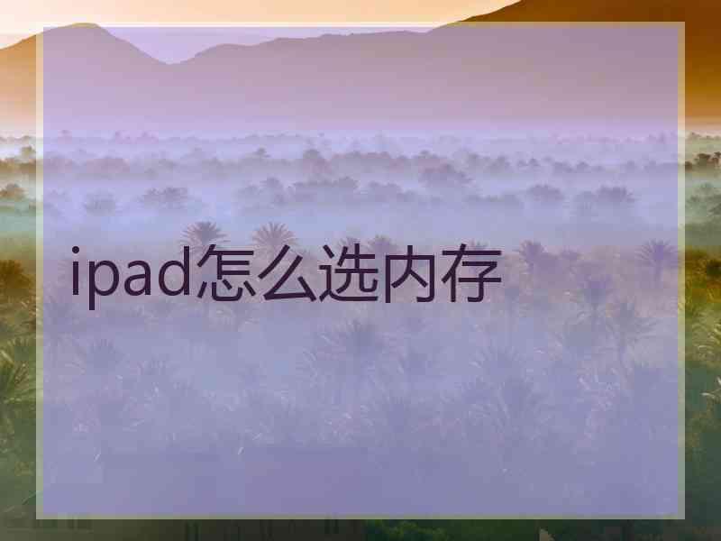 ipad怎么选内存