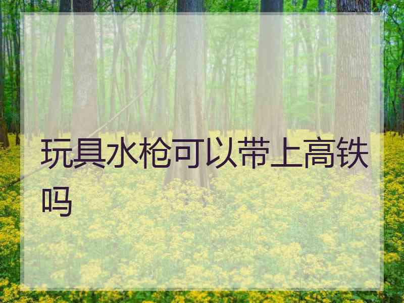 玩具水枪可以带上高铁吗