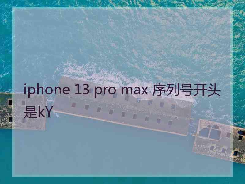 iphone 13 pro max 序列号开头是kY