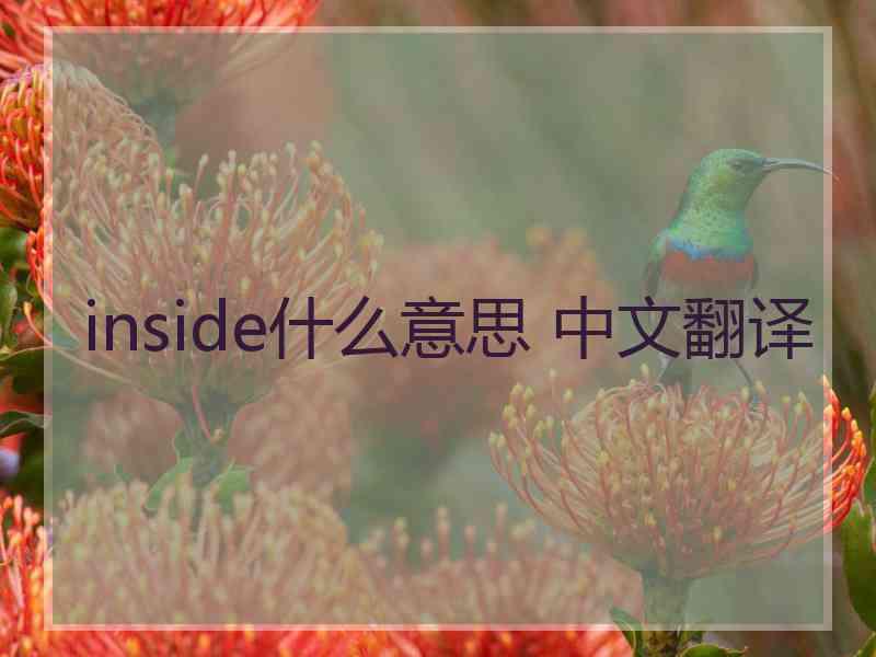 inside什么意思 中文翻译