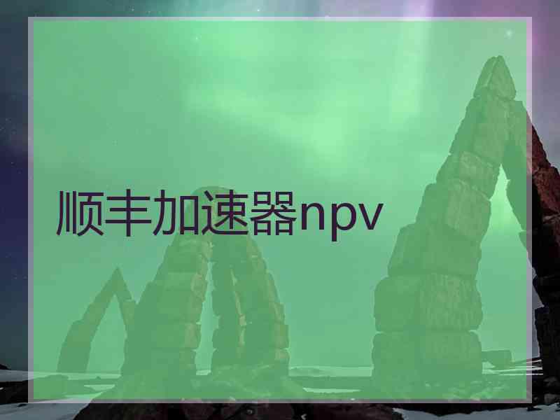 顺丰加速器npv