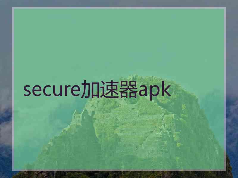 secure加速器apk