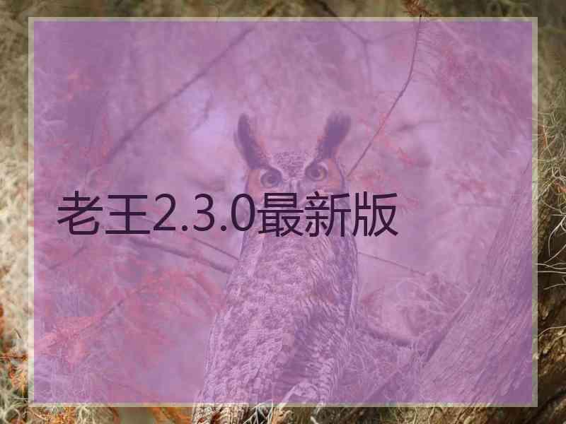 老王2.3.0最新版