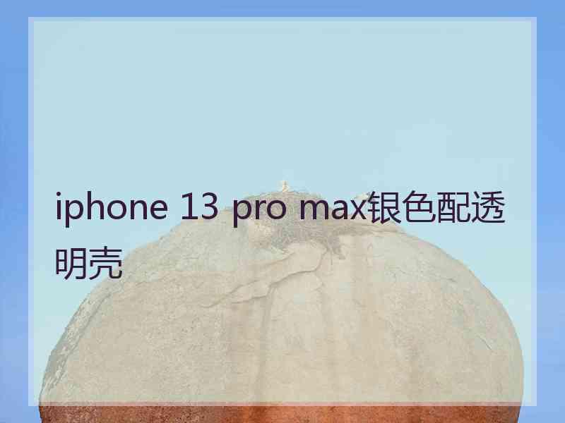 iphone 13 pro max银色配透明壳