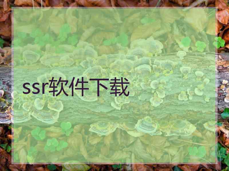 ssr软件下载