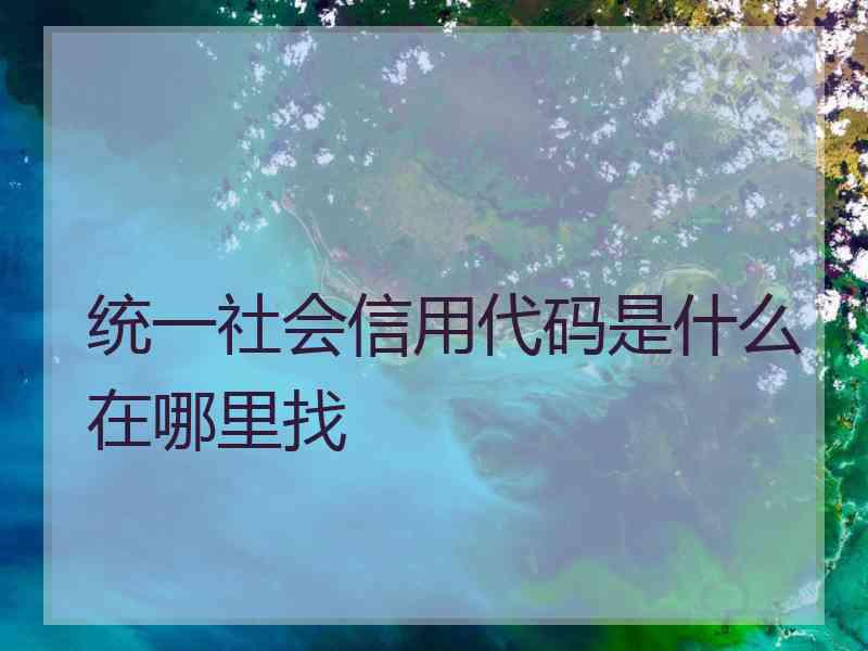 统一社会信用代码是什么在哪里找