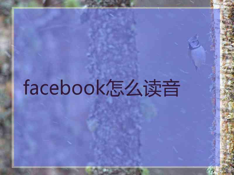 facebook怎么读音