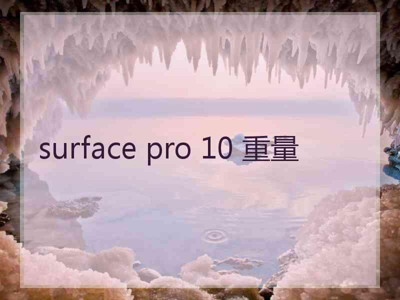 surface pro 10 重量