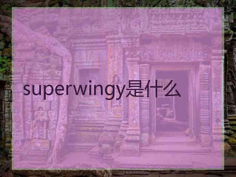 superwingy是什么