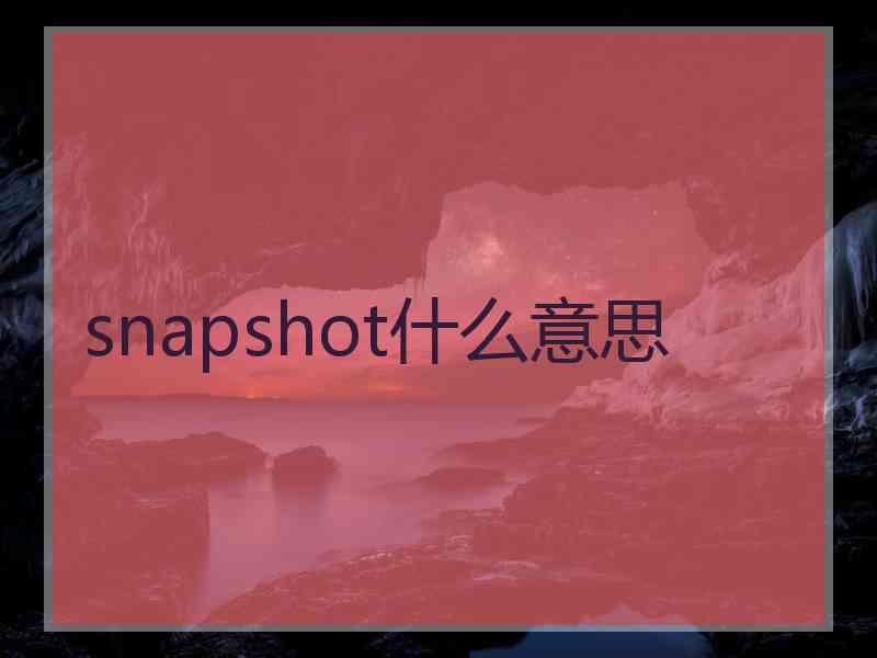 snapshot什么意思