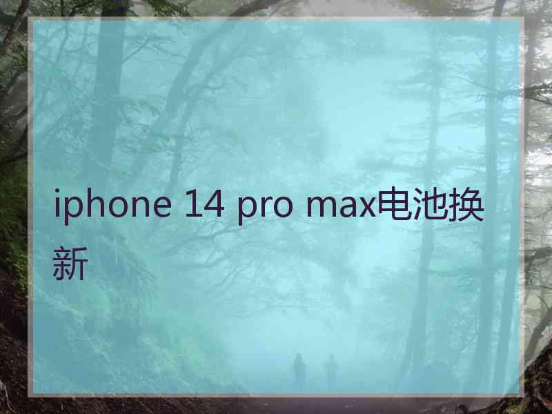 iphone 14 pro max电池换新