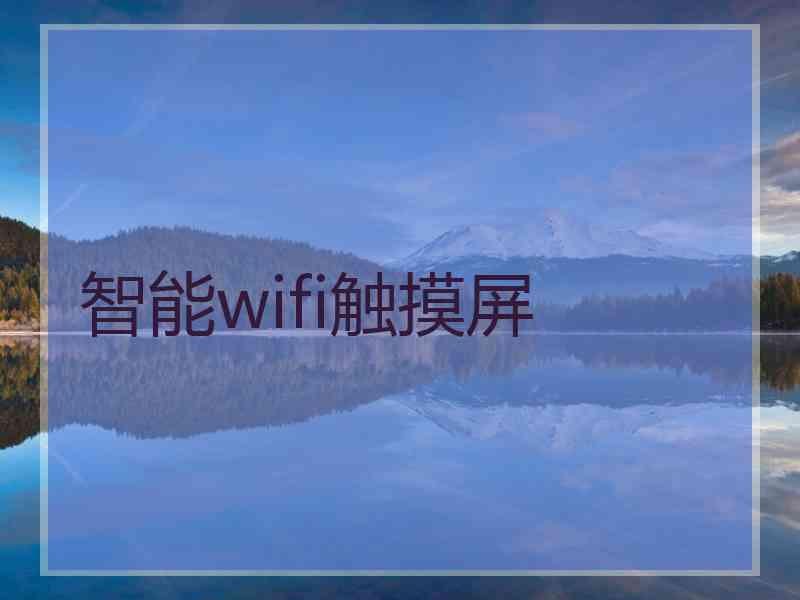 智能wifi触摸屏