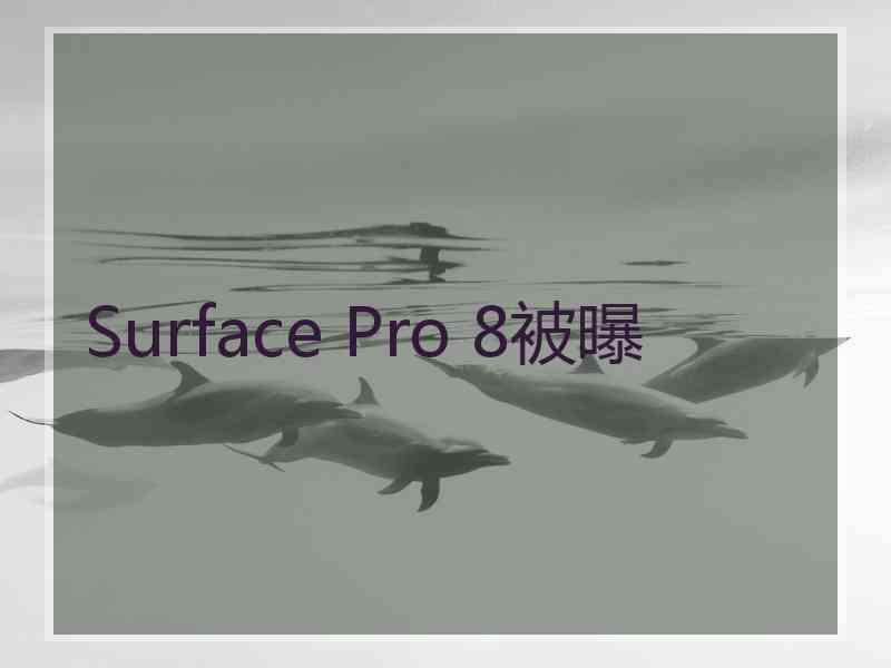 Surface Pro 8被曝