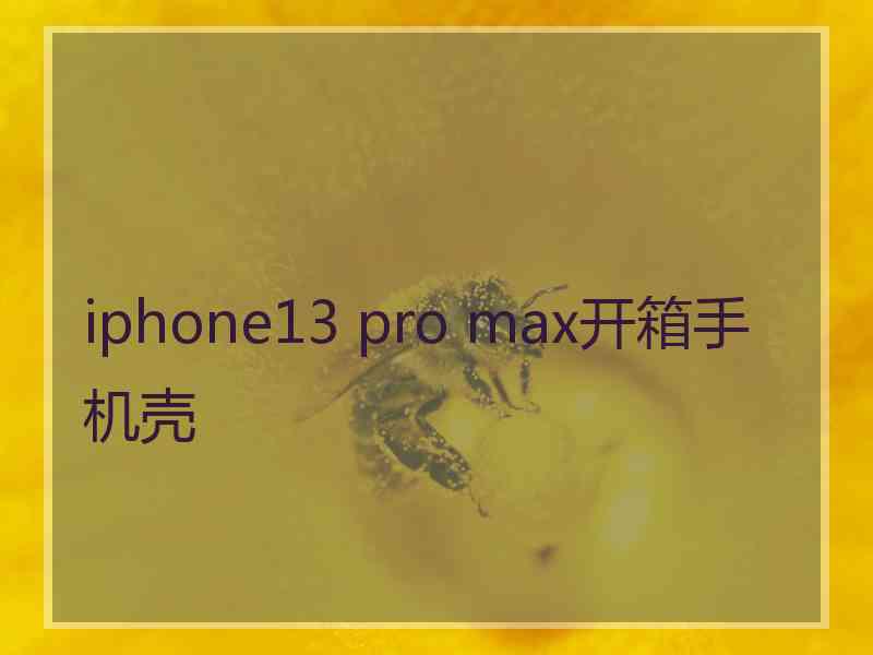 iphone13 pro max开箱手机壳