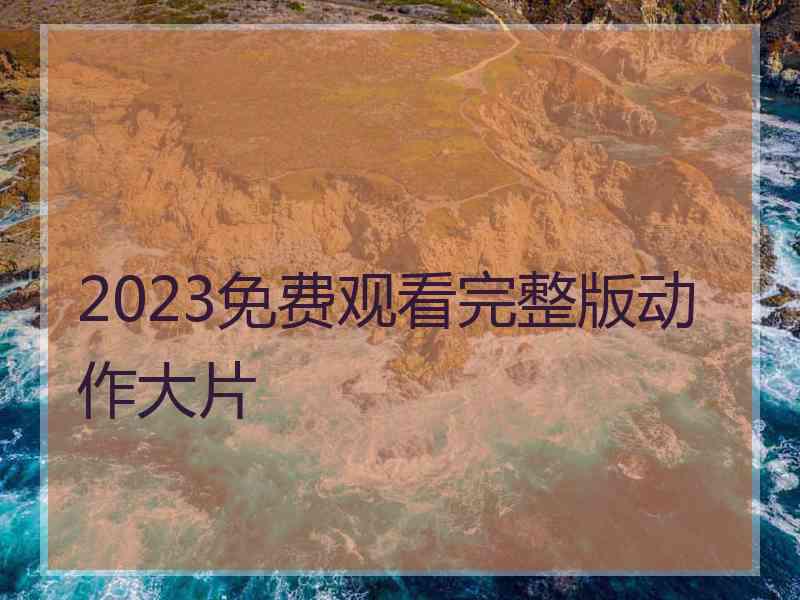 2023免费观看完整版动作大片