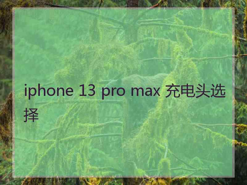 iphone 13 pro max 充电头选择