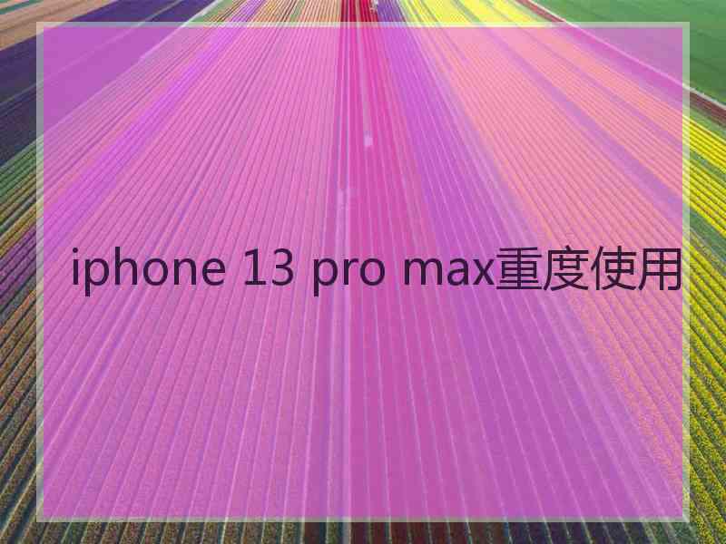 iphone 13 pro max重度使用