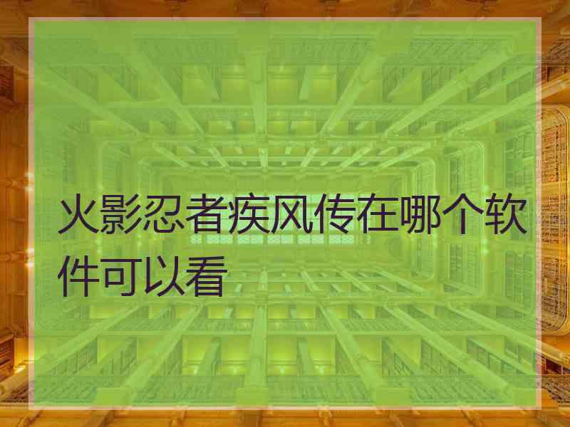 火影忍者疾风传在哪个软件可以看