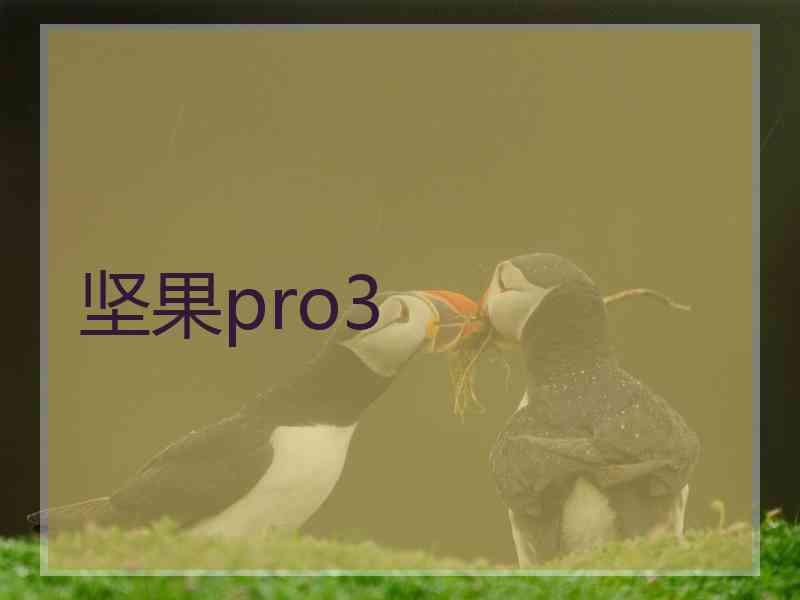 坚果pro3