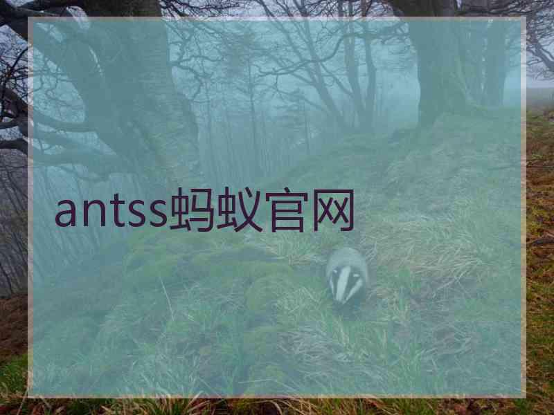 antss蚂蚁官网