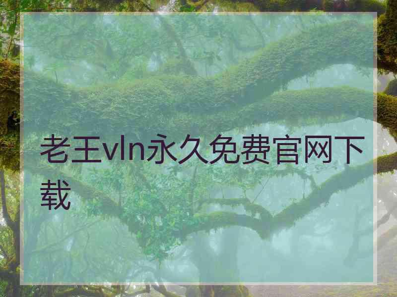 老王vln永久免费官网下载