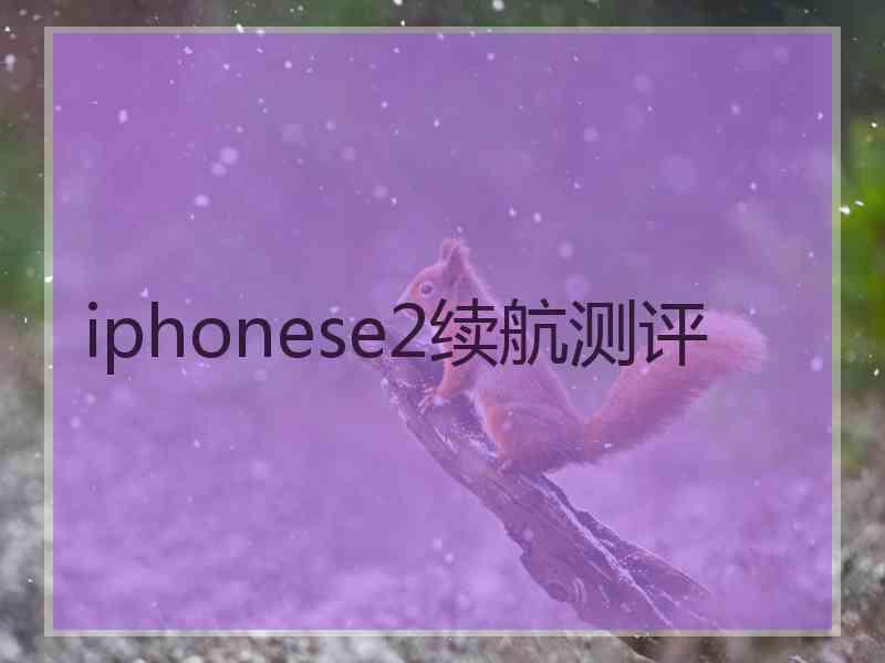 iphonese2续航测评