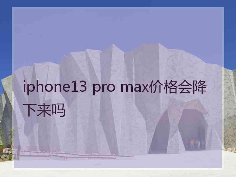 iphone13 pro max价格会降下来吗