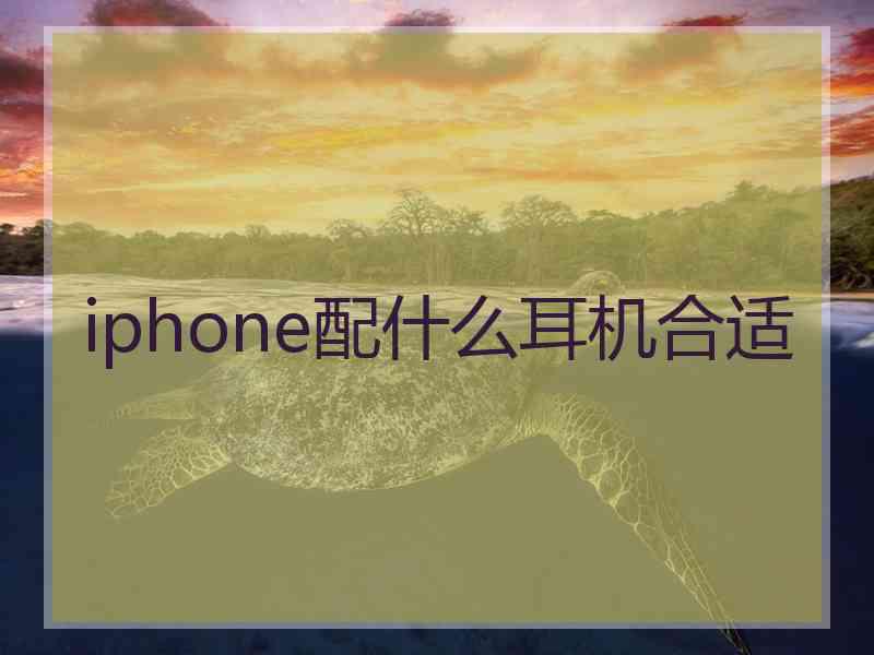 iphone配什么耳机合适