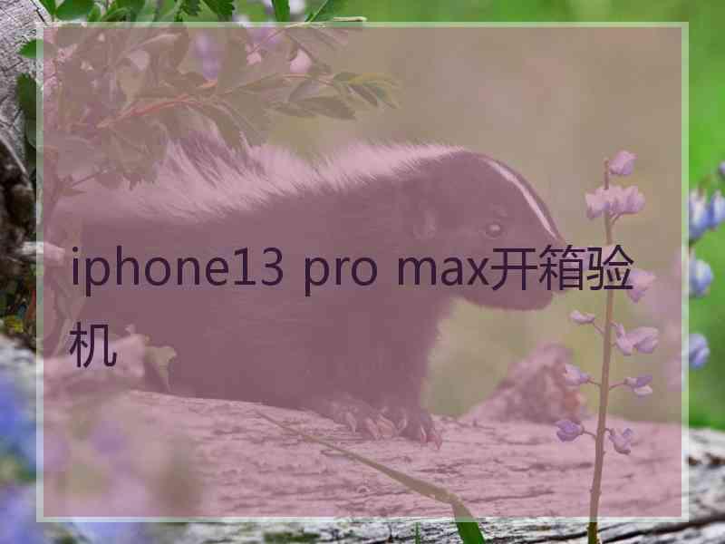 iphone13 pro max开箱验机