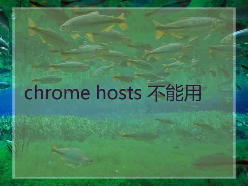 chrome hosts 不能用