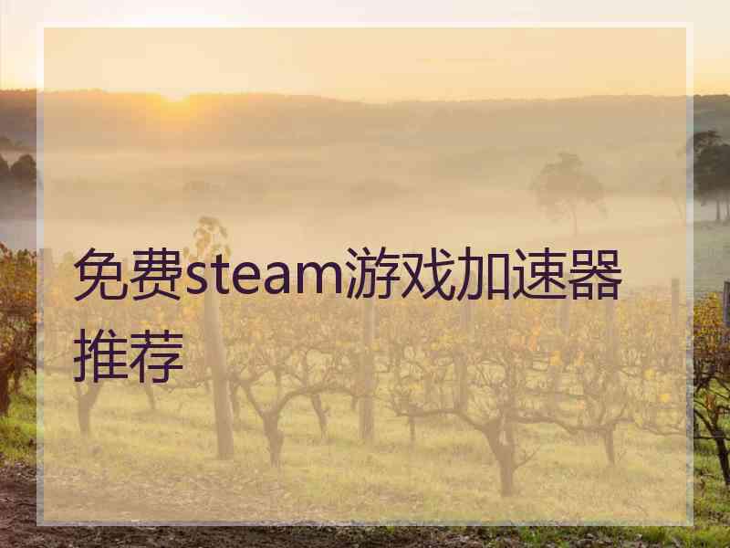 免费steam游戏加速器推荐