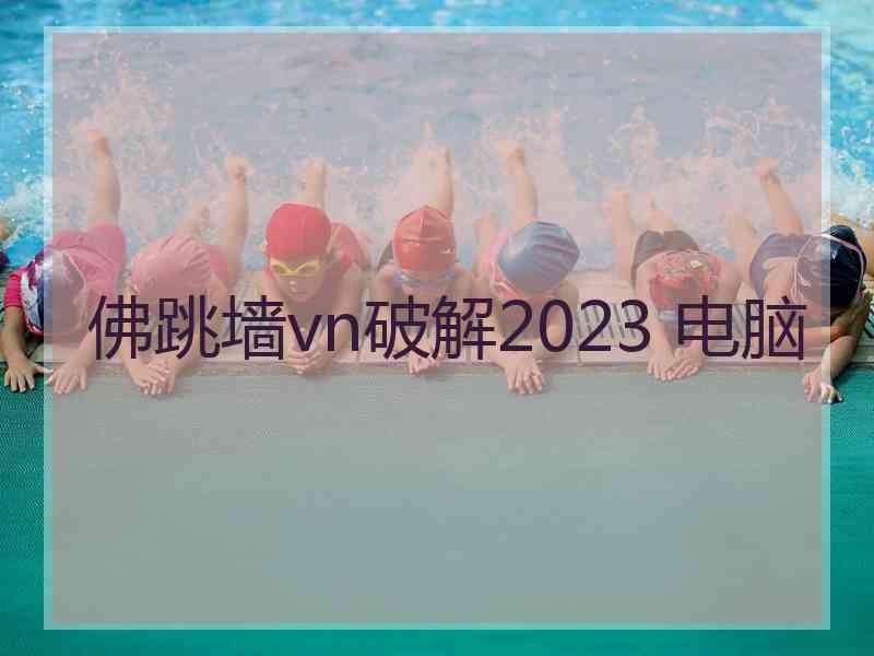 佛跳墙vn破解2023 电脑