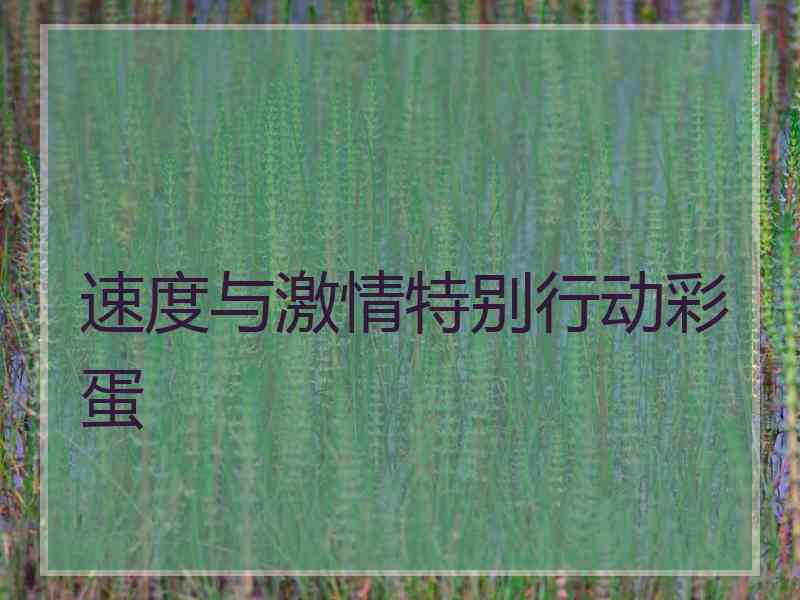 速度与激情特别行动彩蛋