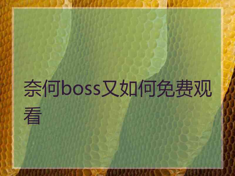 奈何boss又如何免费观看