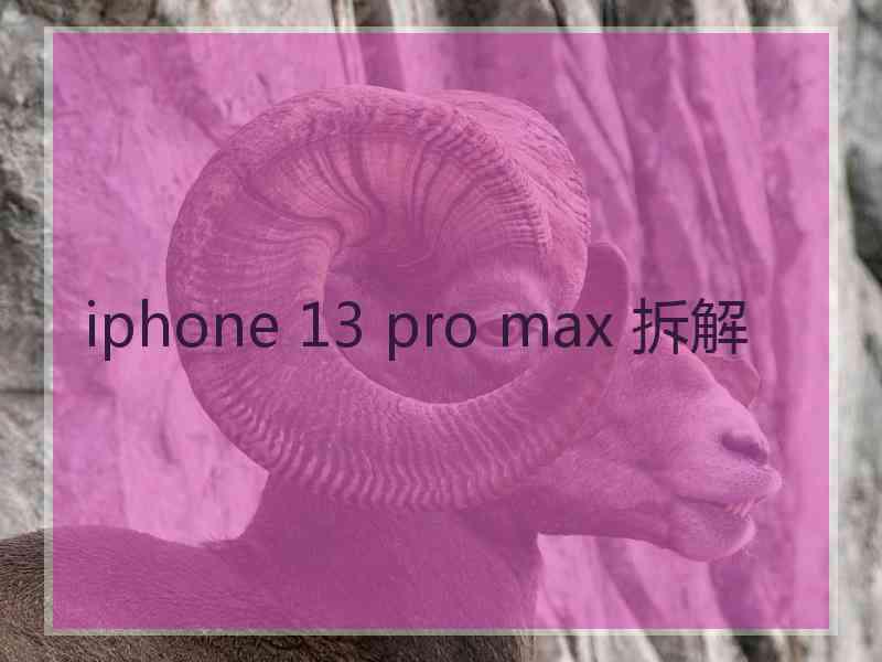 iphone 13 pro max 拆解