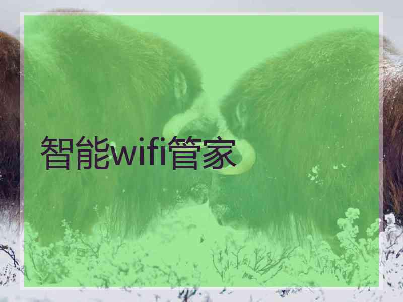 智能wifi管家